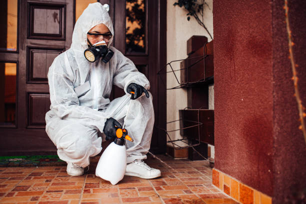 Reliable Wasp Removal contractor in Haworth, NJ by Show Me Pest Control